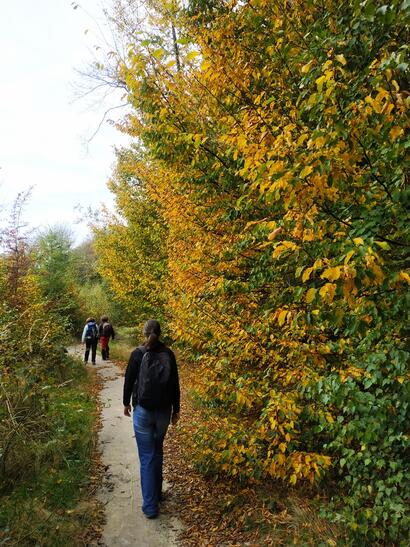 La mare à Goriot La mare à Goriot